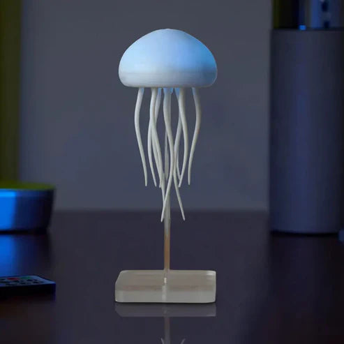 Jellyfish lamp
